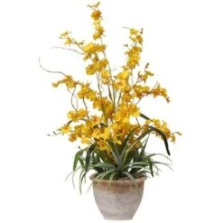 Dancing Lady Silk Orchid Arrangement