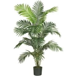 6 Ft. Paraidise Palm