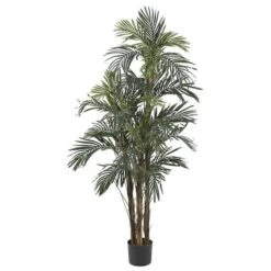 5 Ft. Robellini Palm Silk Tree