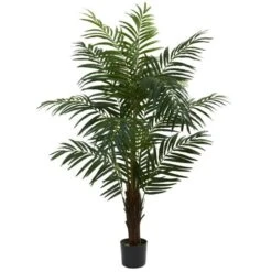 5 Ft. Areca Palm Tree