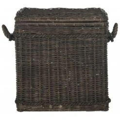 Safavieh Sidonie Trunk- Dark Natural - 23.6 X 10.8 X 23.6 In.
